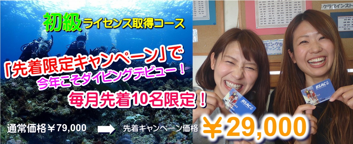 徳島　高知　香川のダイビングは海底少年　高知甲浦クラブハウスでのんびりしながら体験ダイビング＆フィッシュウォッチイング♪