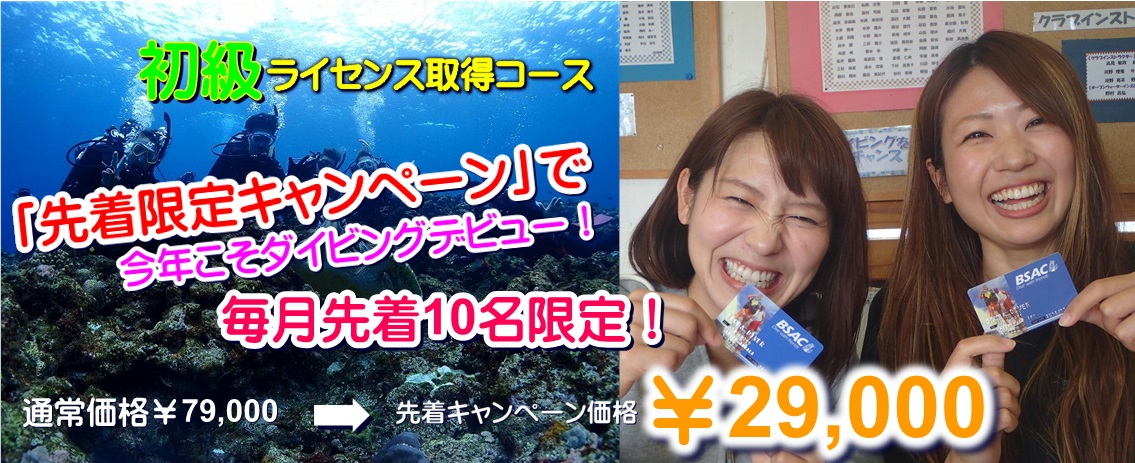 今日も初級ダイビングライセンスコース開催☆ 鳴門、香川、高松、徳島と様々なところから☆