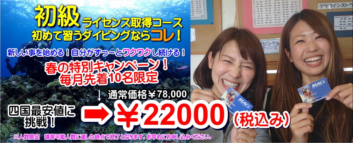 徳島ダイビングスクール スノーボードショップ 海底少年 徳島ダイビング 香川ダイビング 高知ダイビング 愛媛ダイビング 徳島ダイビングスクール スノーボードショップ 海底少年 徳島ダイビング 香川ダイビング 高知ダイビング 愛媛ダイビング