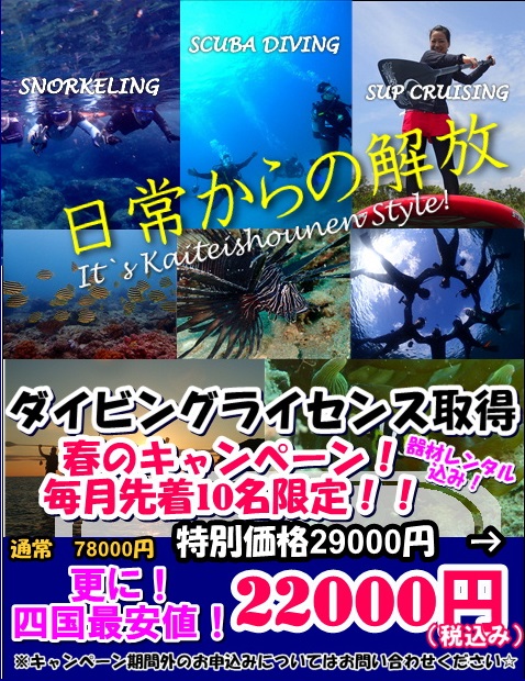 徳島ダイビングスクール スノーボードショップ 海底少年 徳島ダイビング 香川ダイビング 高知ダイビング 愛媛ダイビング