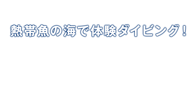 熱帯魚の海でレッツダイビング！