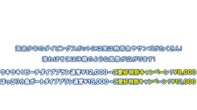 海底少年のダイビングスポットには実は熱帯魚やサンゴがたくさん！潜ればそこは沖縄のような風景が広がります！