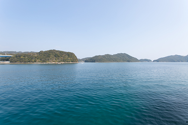 海底少年甲浦クラブハウス